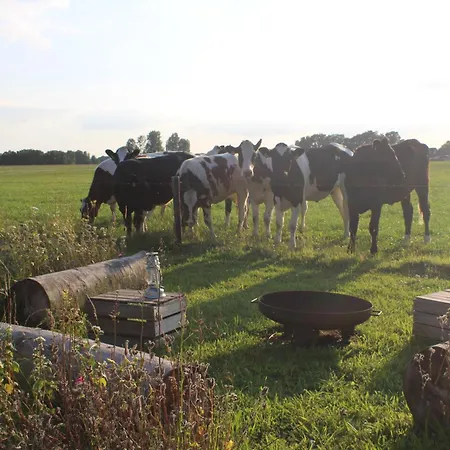 Glamping Belltent 't Bievink - Buitengewoon Overnachten Westendorp