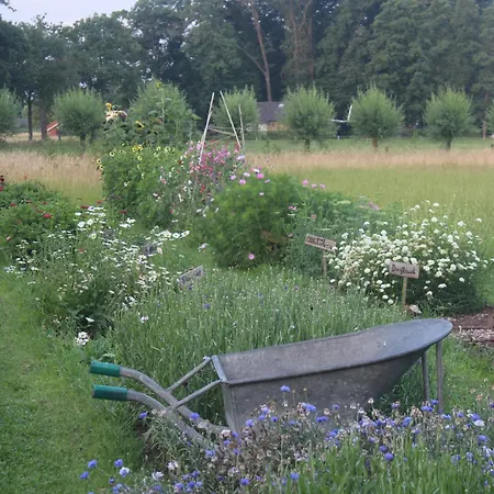 Belltent 't Bievink - Buitengewoon Overnachten Οργανωμένο κάμπινγκ