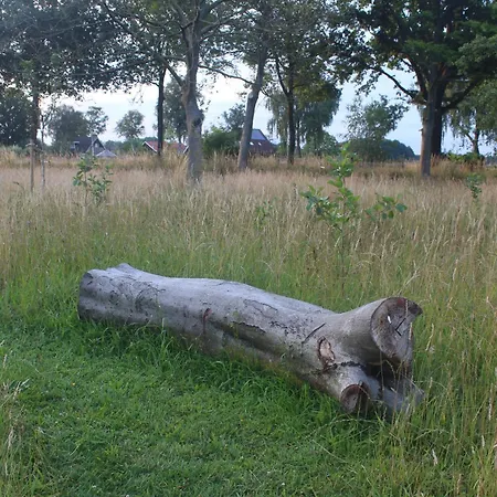 Luxuszelt Belltent 't Bievink - Buitengewoon Overnachten Westendorp