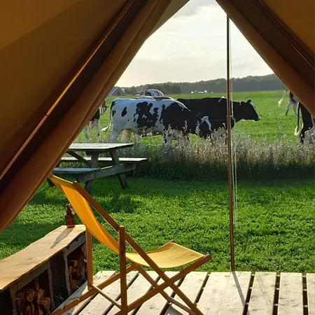 Οργανωμένο κάμπινγκ Belltent 't Bievink - Buitengewoon Overnachten