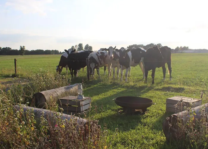 Glamping Belltent 't Bievink - Buitengewoon Overnachten Westendorp