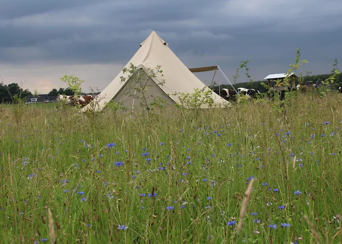 Belltent 't Bievink - Buitengewoon Overnachten