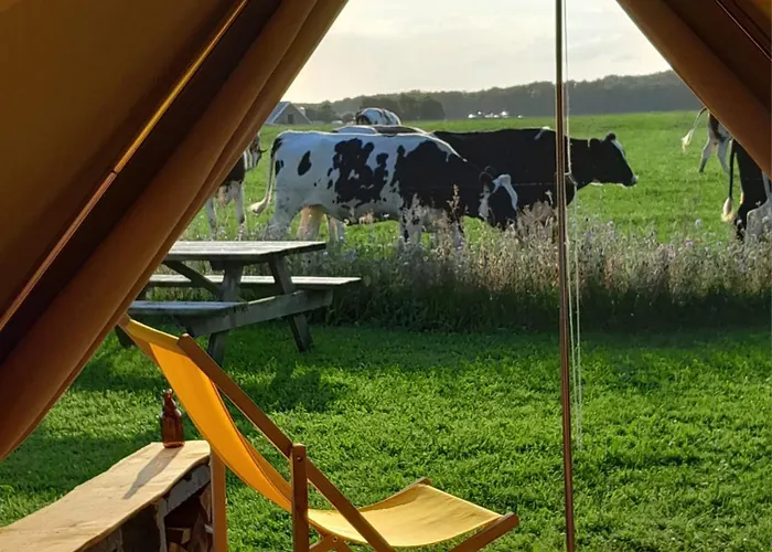 Glamping Belltent 't Bievink - Buitengewoon Overnachten