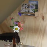 Belltent 't Bievink - Buitengewoon Overnachten Westendorp