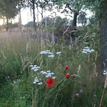 Belltent 't Bievink - Buitengewoon Overnachten 豪华帐篷 Westendorp