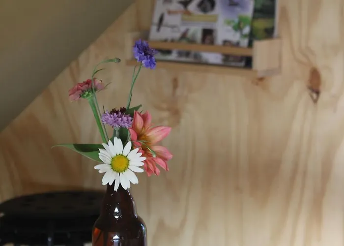 Belltent 't Bievink - Buitengewoon Overnachten Westendorp