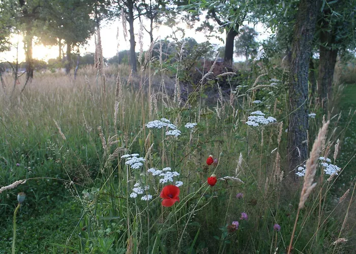 Belltent 't Bievink - Buitengewoon Overnachten Campo de lujo Westendorp