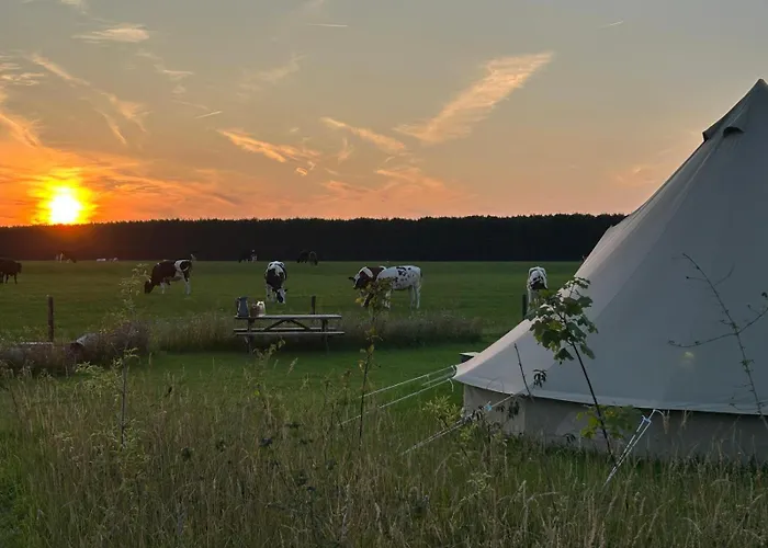 Belltent 't Bievink - Buitengewoon Overnachten Campo de lujo