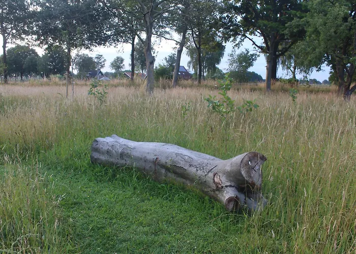 Campo de lujo Belltent 't Bievink - Buitengewoon Overnachten Westendorp