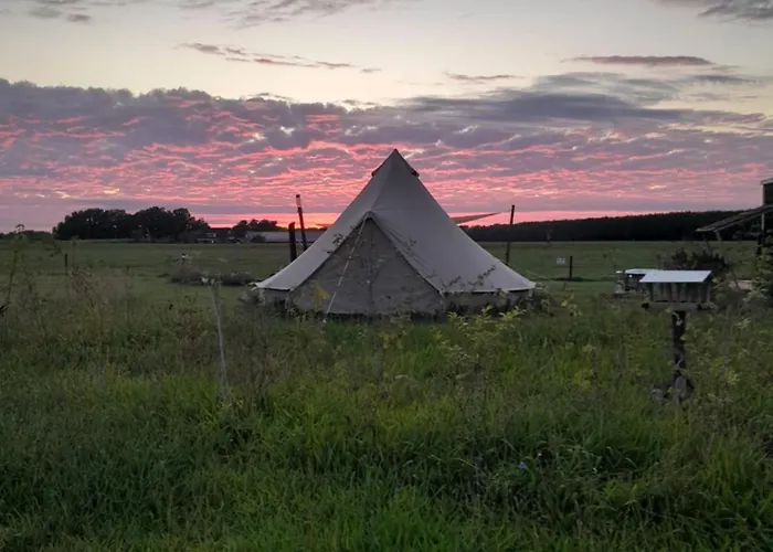 Belltent 't Bievink - Buitengewoon Overnachten Campo de lujo